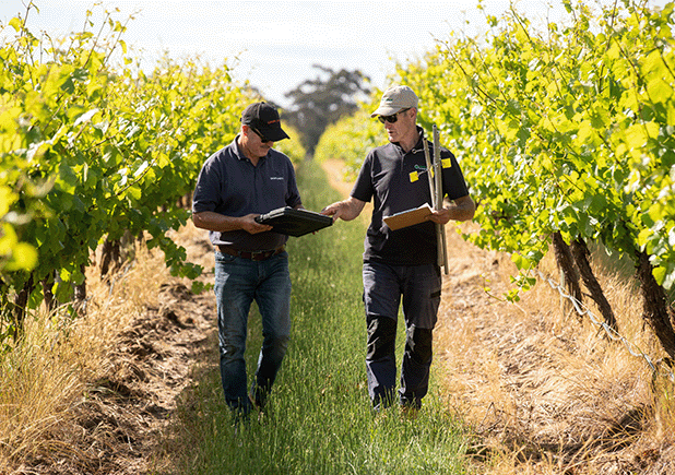 Benefits of on-farm weather stations on orchards in NSW