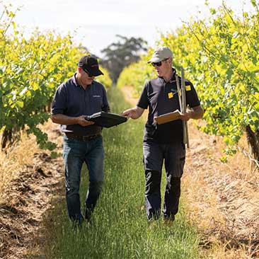 Croplands Territory Manager Vineyard